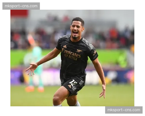 观察:法国职业足球联盟与流媒体平台就2027-2029年版权开启非正式接触 观察:法国职业足球联盟与流媒体平台就2027-2029年版权开启非正式接触